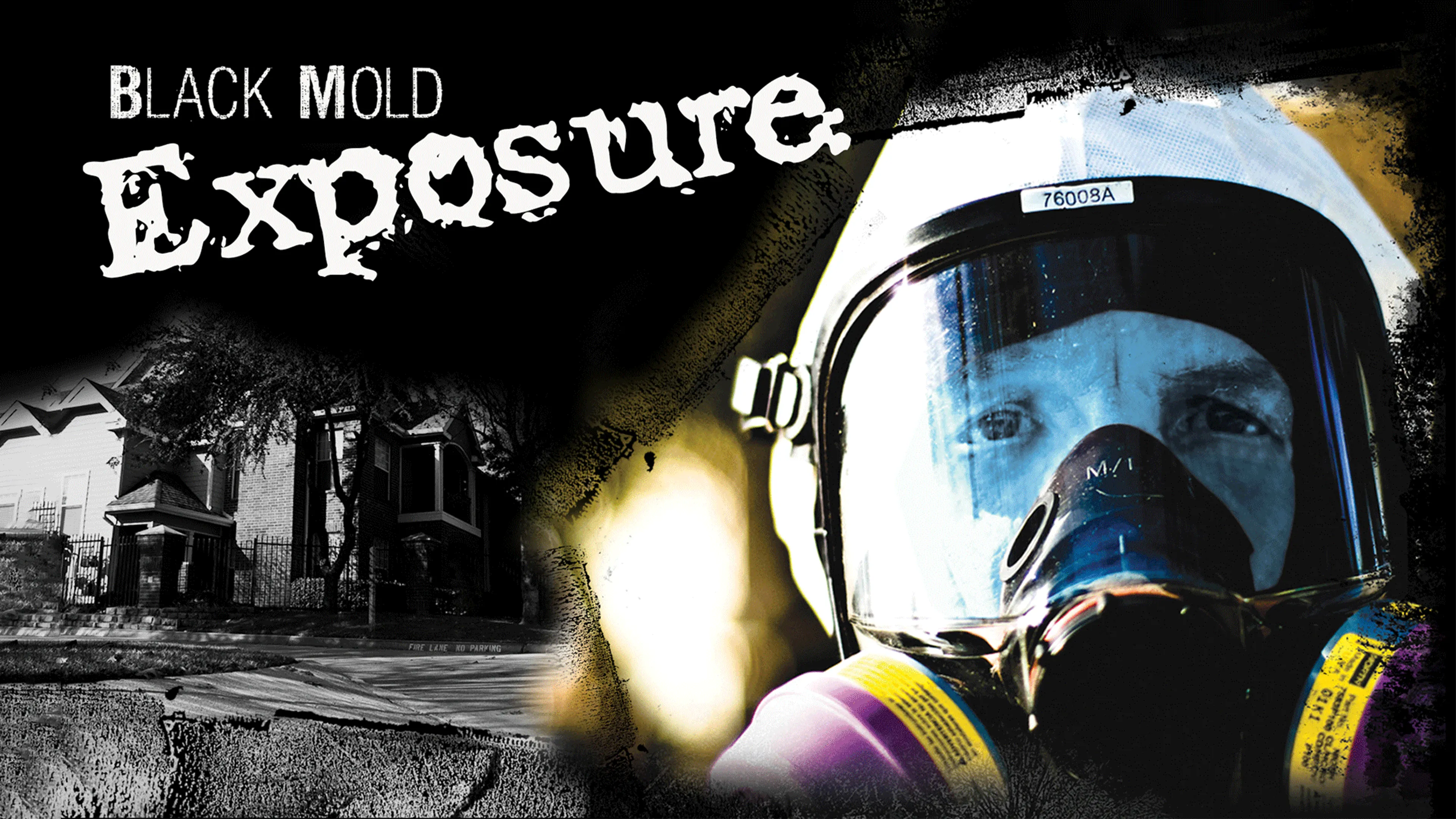 Black Mold Exposure poster